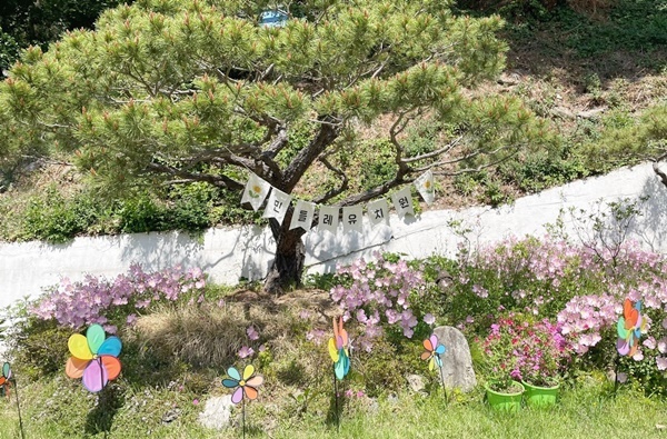 꽃무지풀무지유치원 이미지