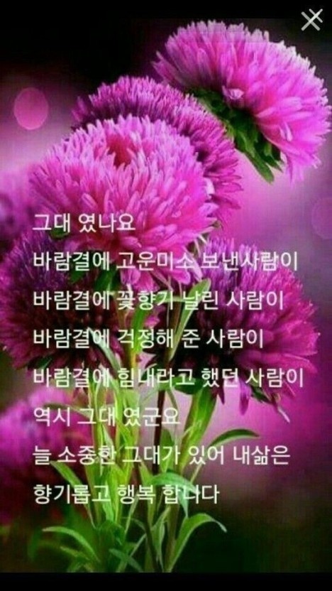 눈부시게 이미지