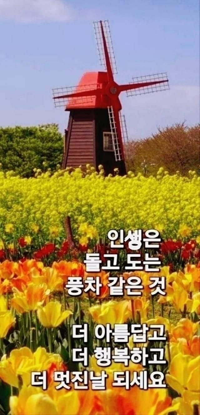 눈부시게 이미지