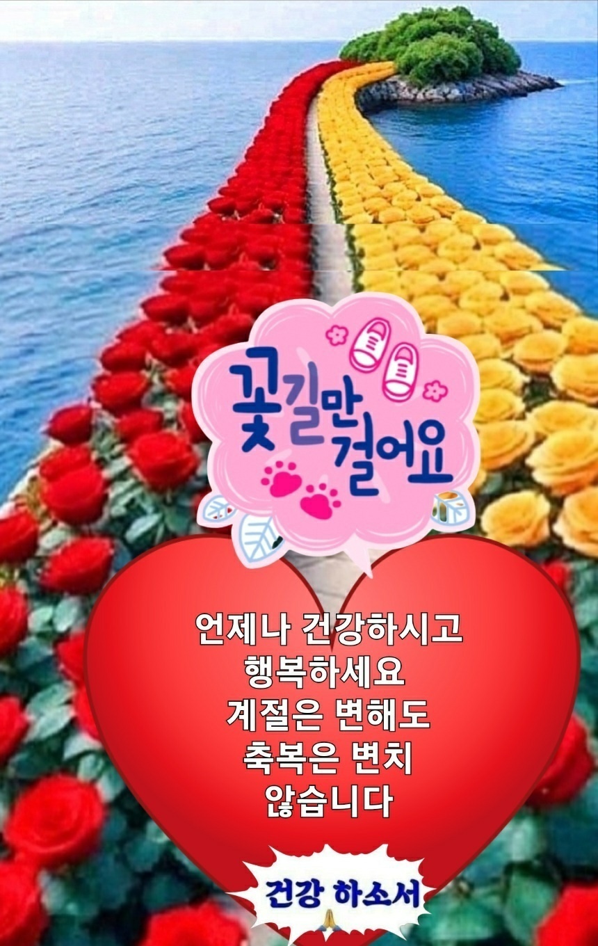 행복꽃 이미지