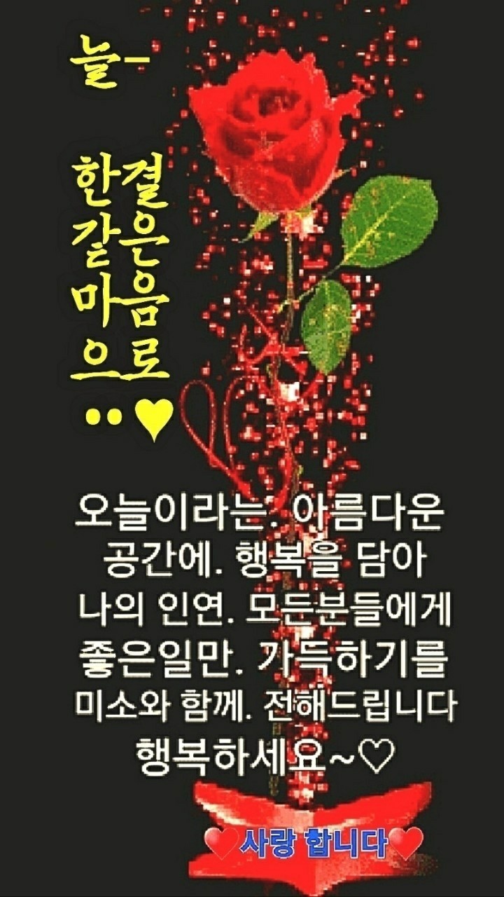 눈부시게 이미지