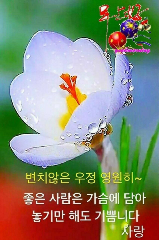 우리;꽃 이미지