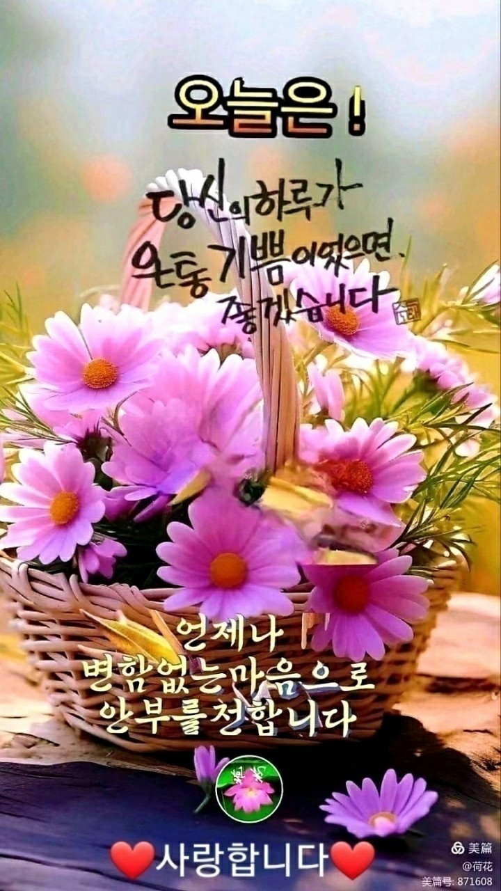 눈부시게 이미지