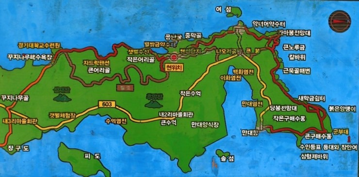 솔향기 이미지