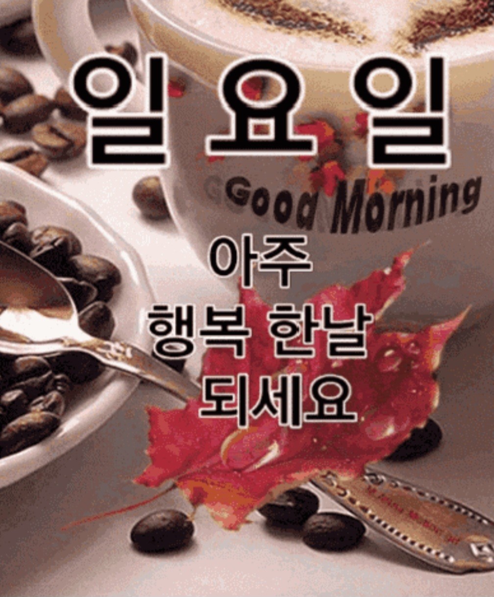 좋은세상좋은사람 이미지