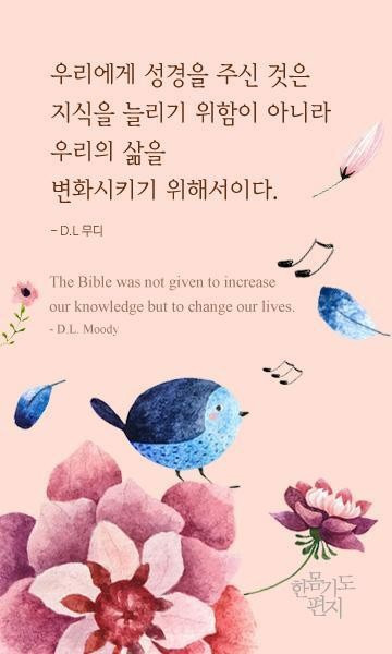 무디 이미지