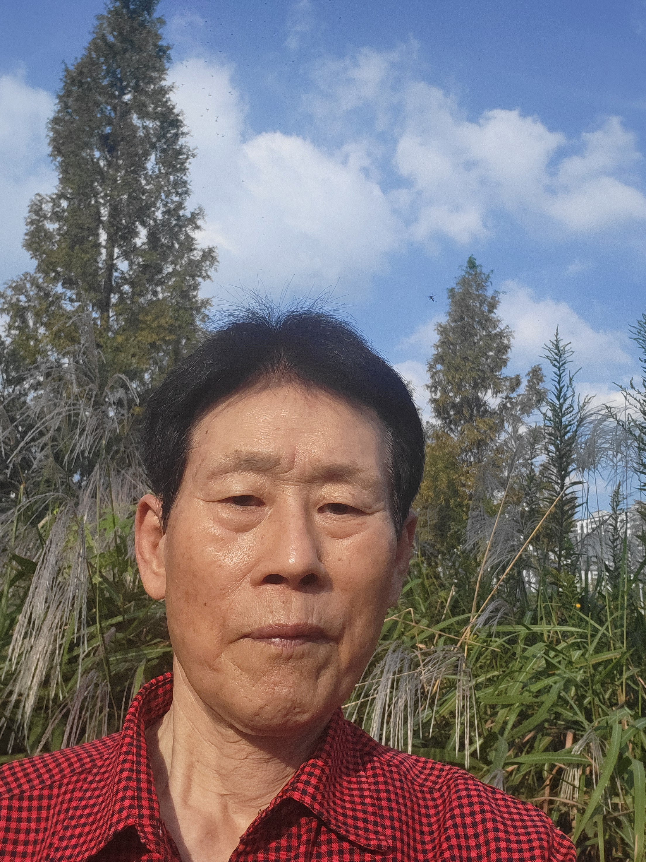 오리산성 이미지