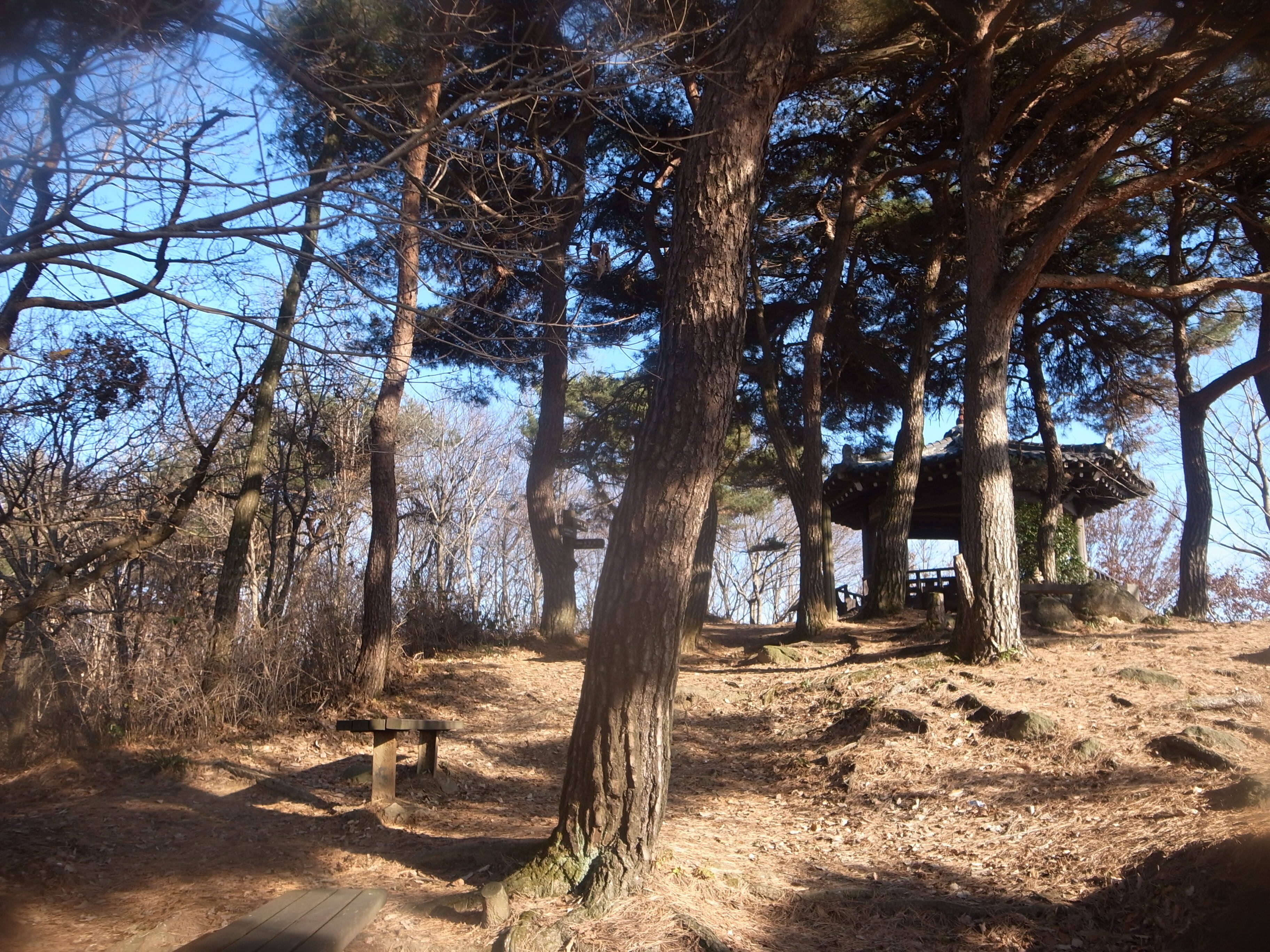 어등산호남대 이미지