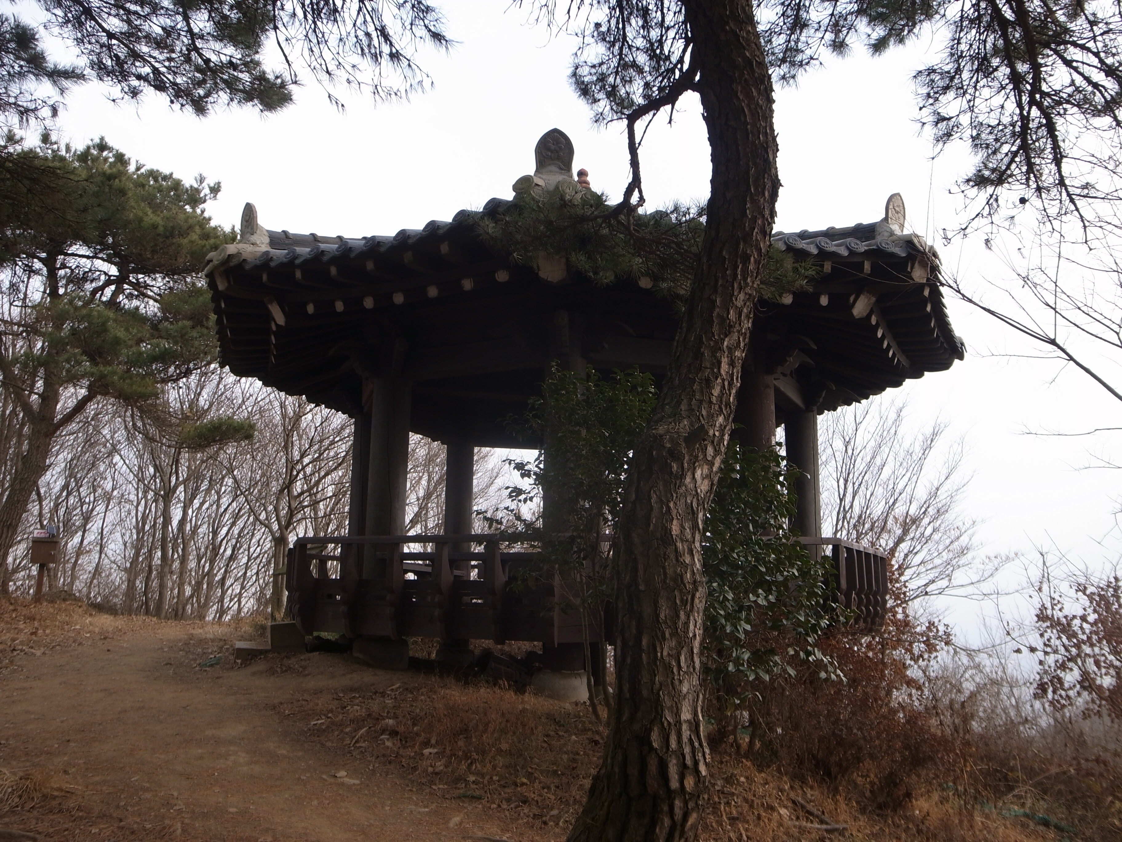 어등산호남대 이미지