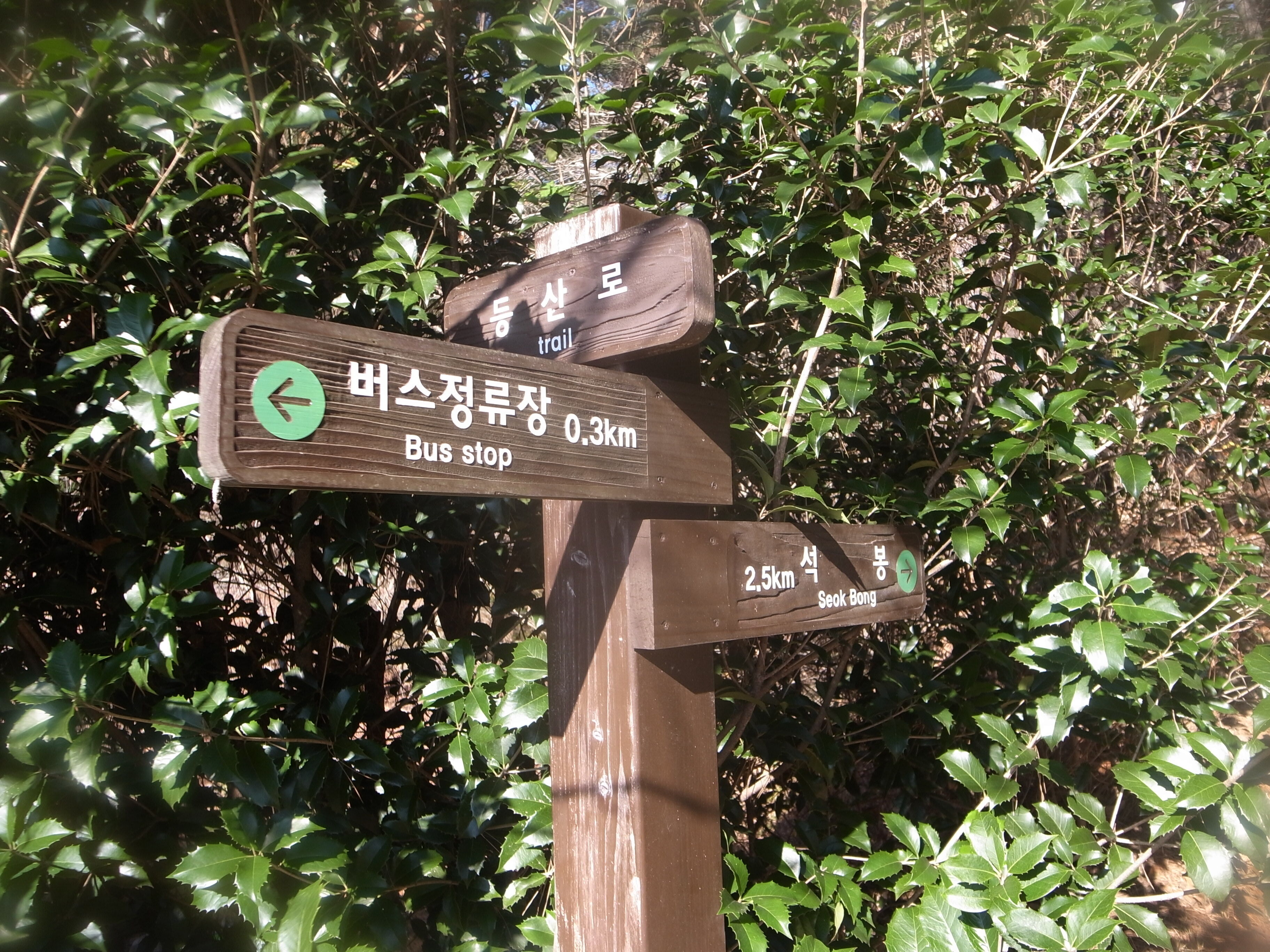 어등산호남대 이미지