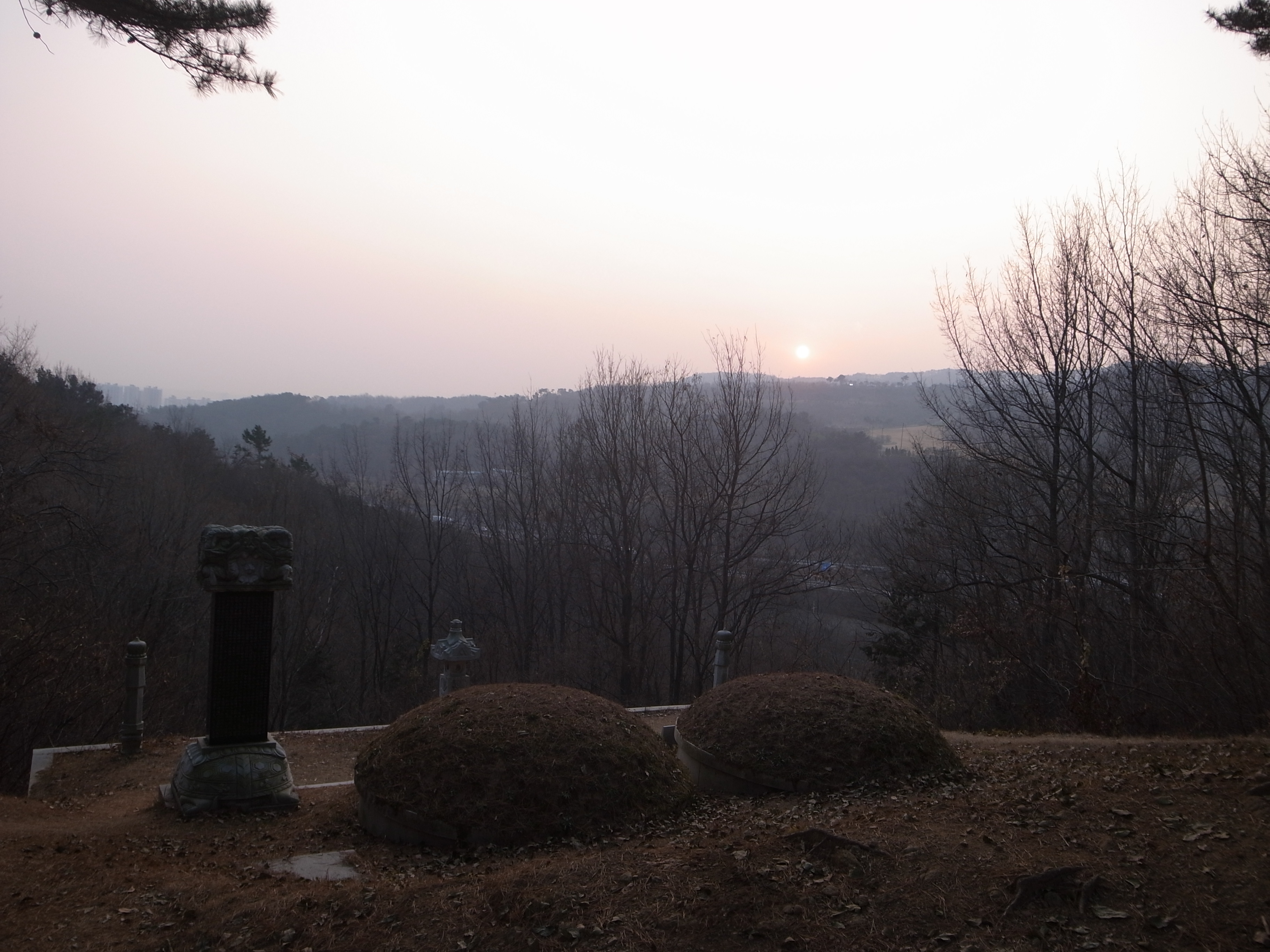 어등산호남대 이미지