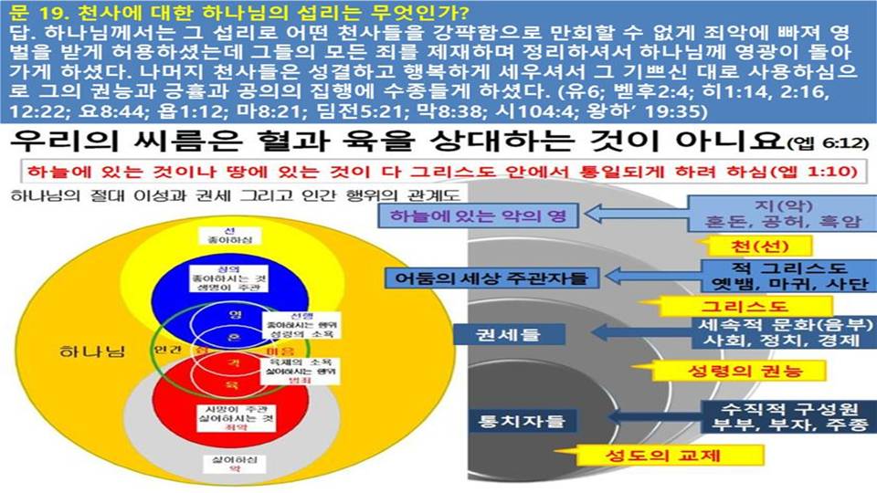 Daum 카페