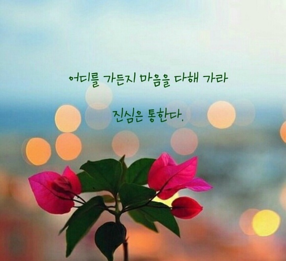 우리가 이미지