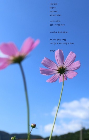 여백 이미지