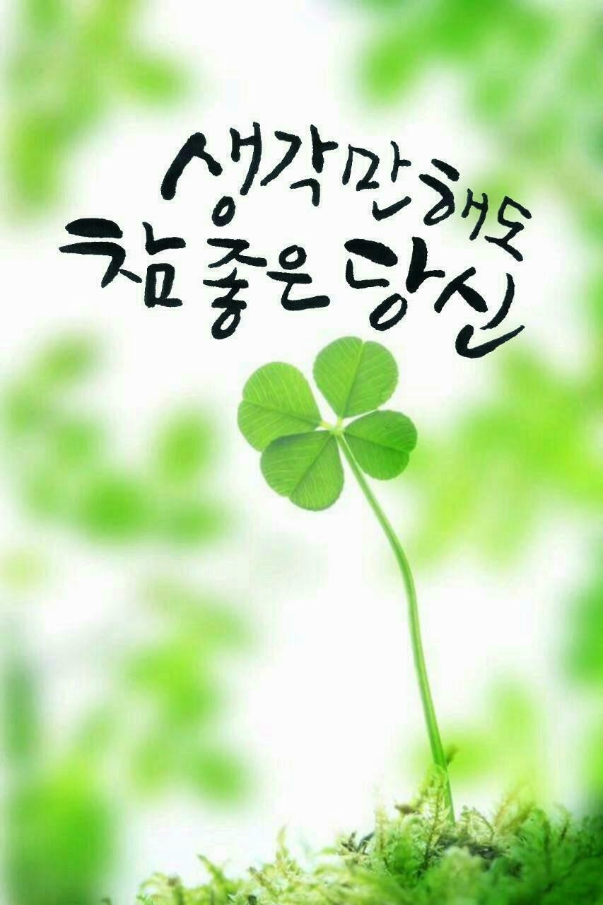행운 이미지