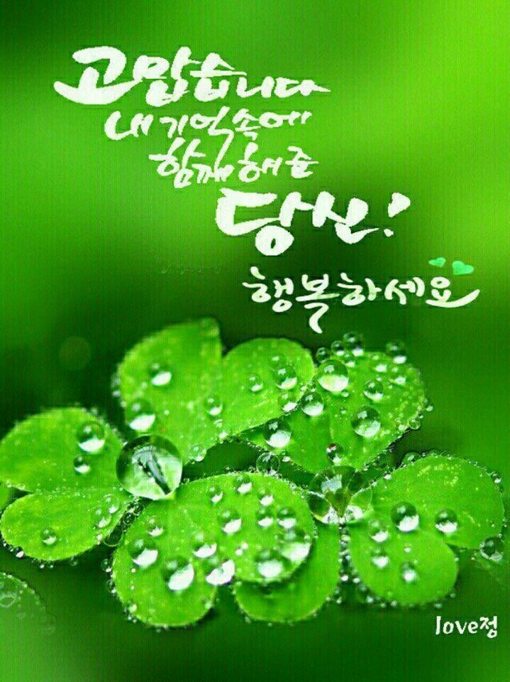 행운 이미지