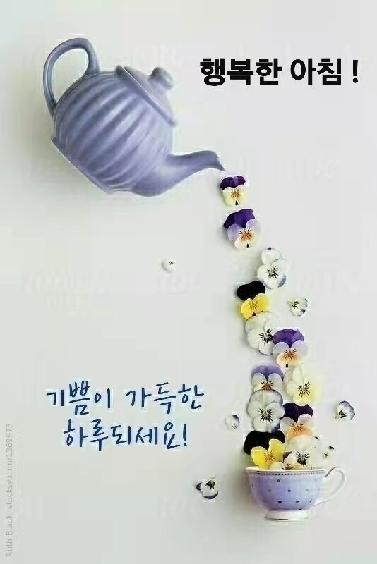 커피핑크 이미지