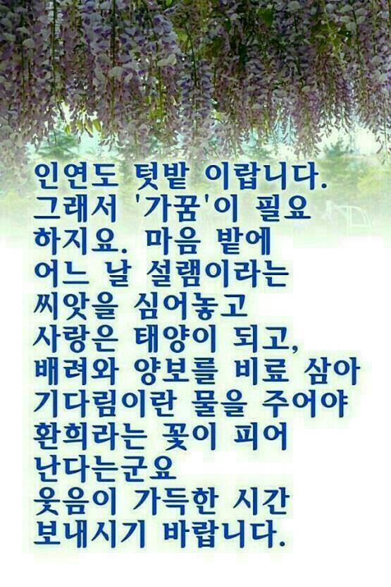 인연 이미지