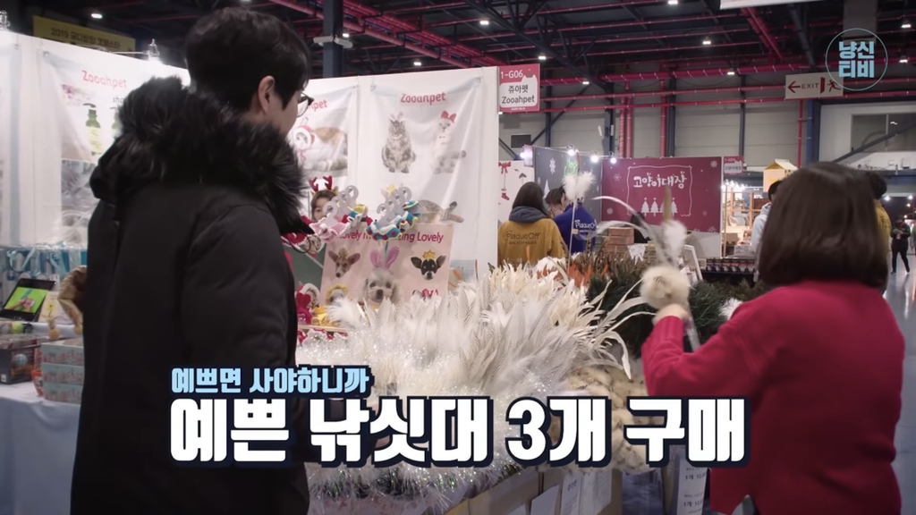 너무 극명하게 차이나서 웃긴 고양이 수의사들의 캣페스타 방문.jpg | 인스티즈