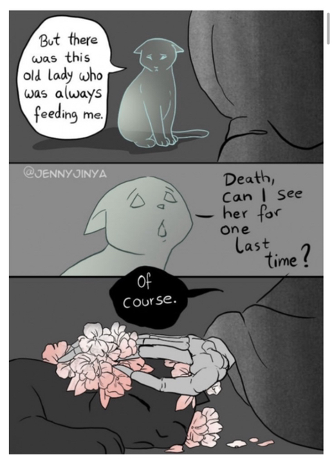 검은 고양이를 위로하는 사신 '해외 네티즌들 눈물 펑펑' | 인스티즈