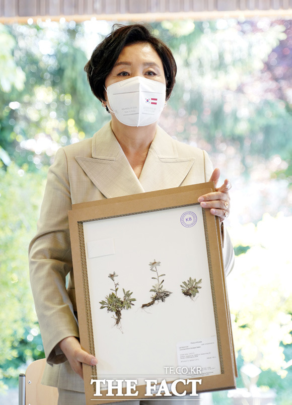 김정숙여사님의 선물, 코리안 에델바이스 솜다리 | 인스티즈