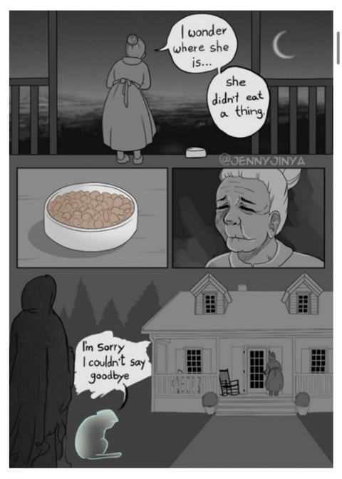 검은 고양이를 위로하는 사신 '해외 네티즌들 눈물 펑펑' | 인스티즈