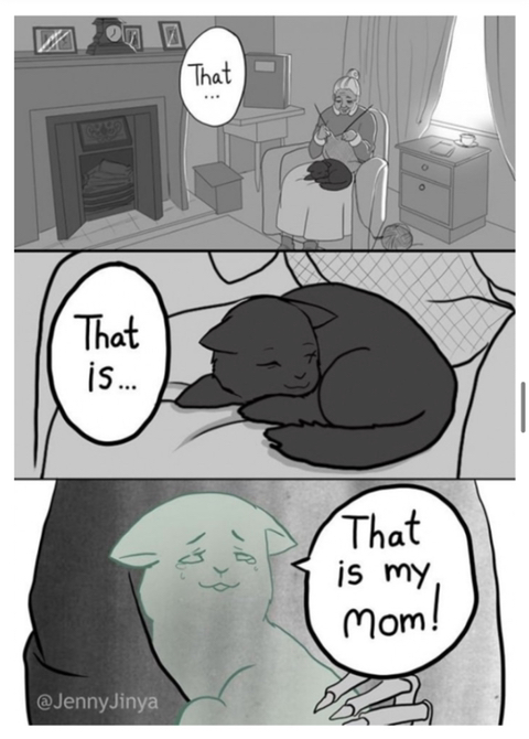 검은 고양이를 위로하는 사신 '해외 네티즌들 눈물 펑펑' | 인스티즈