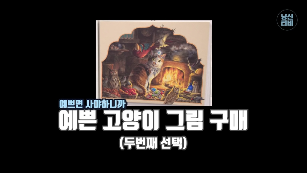 너무 극명하게 차이나서 웃긴 고양이 수의사들의 캣페스타 방문.jpg | 인스티즈