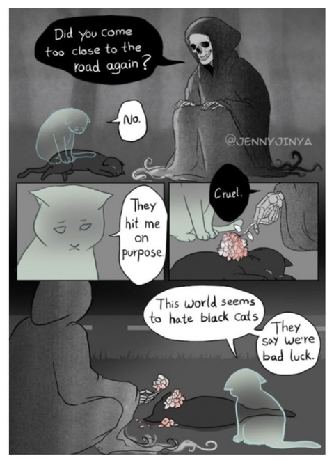 검은 고양이를 위로하는 사신 '해외 네티즌들 눈물 펑펑' | 인스티즈