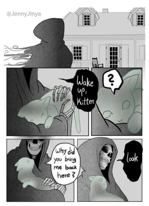 검은 고양이를 위로하는 사신 '해외 네티즌들 눈물 펑펑' | 인스티즈