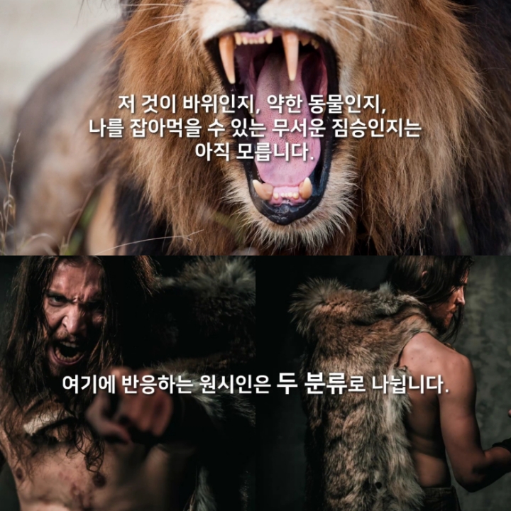 불안, 왜 생기는 걸까? (+ 걱정 많은 사람들을 위한 팁) | 인스티즈