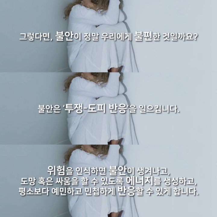 불안, 왜 생기는 걸까? (+ 걱정 많은 사람들을 위한 팁) | 인스티즈