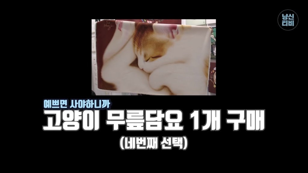 너무 극명하게 차이나서 웃긴 고양이 수의사들의 캣페스타 방문.jpg | 인스티즈