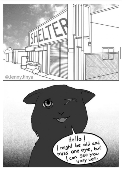 검은 고양이를 위로하는 사신 '해외 네티즌들 눈물 펑펑' | 인스티즈