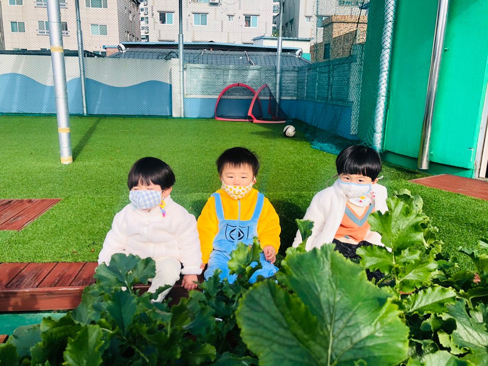 동*김* 이미지