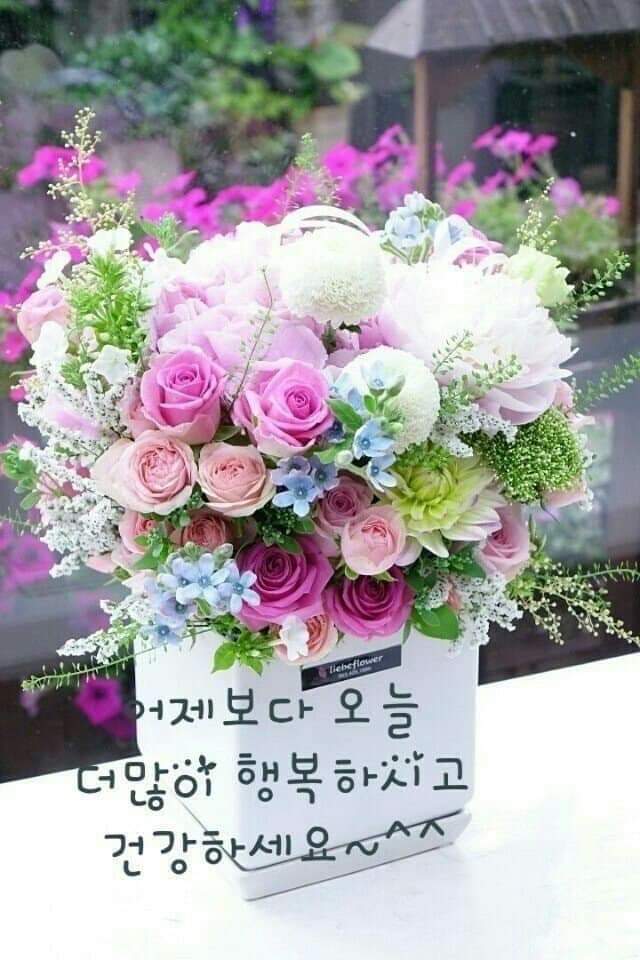 응 이미지