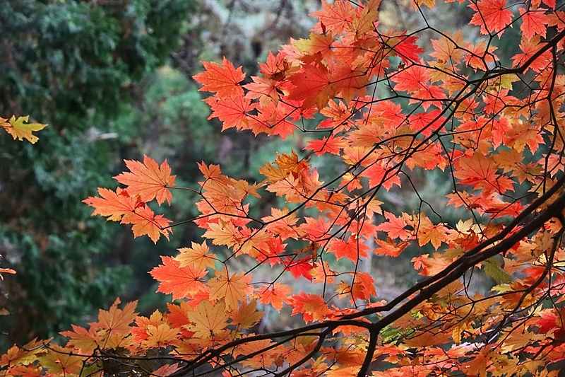 BY연주 이미지