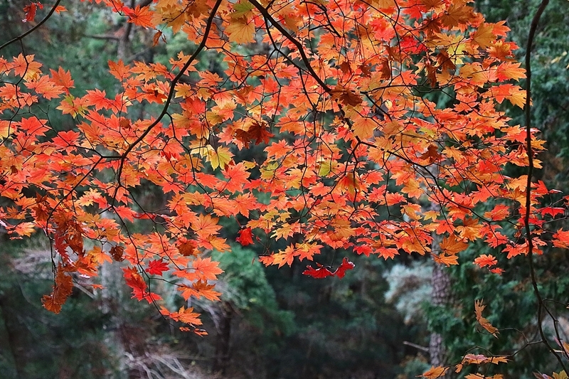 BY연주 이미지