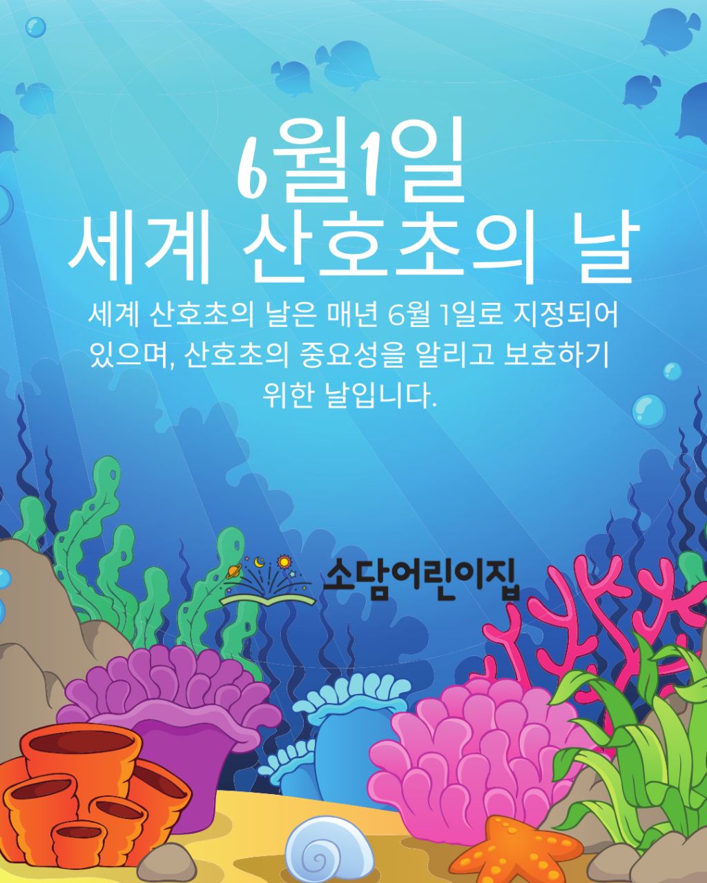 산호초등학교 이미지