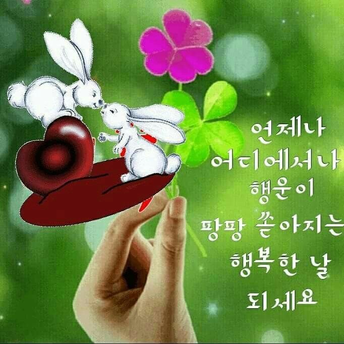유수 이미지