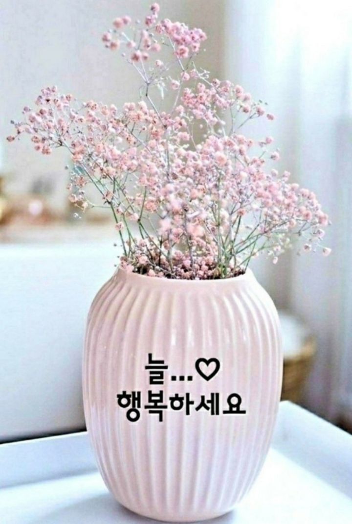 그 길의 끝에 희망이 있다/이미지 - ‥‥공유 ♡ 좋은글 - 향기있는 좋은글 그 길의 끝에 희망이 있다/이미지