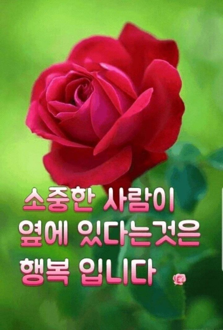 70~80대 노인별곡//꽃과 자연 이미지/70대 노인별곡 노래와글 첨부 - ‥‥공유 ♡ 좋은글 - 향기있는 좋은글 70~80대 노인별곡//꽃과 자연... 