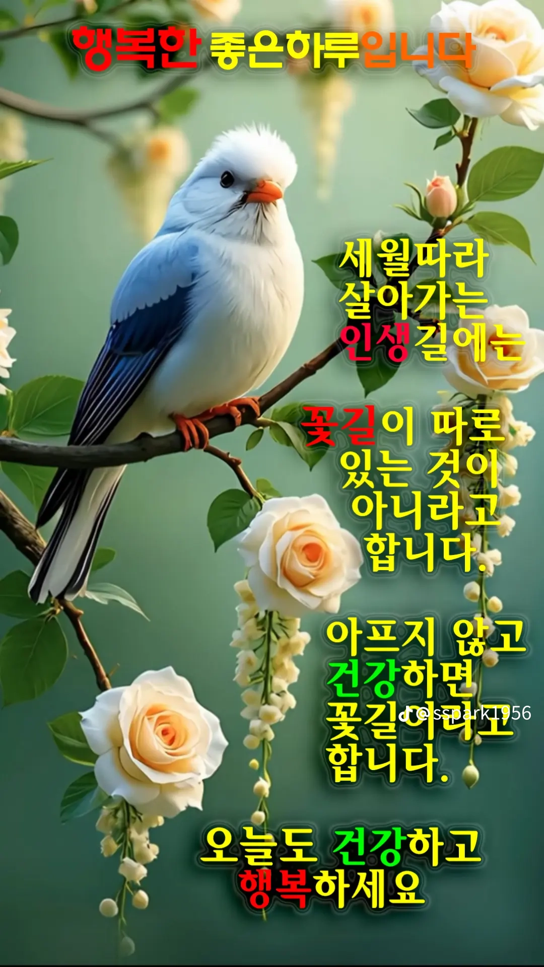 수요일 아침 편지 웃음꽃 가득한 하루 ~ - ‥‥공유 ♡ 좋은글 - 향기있는 좋은글