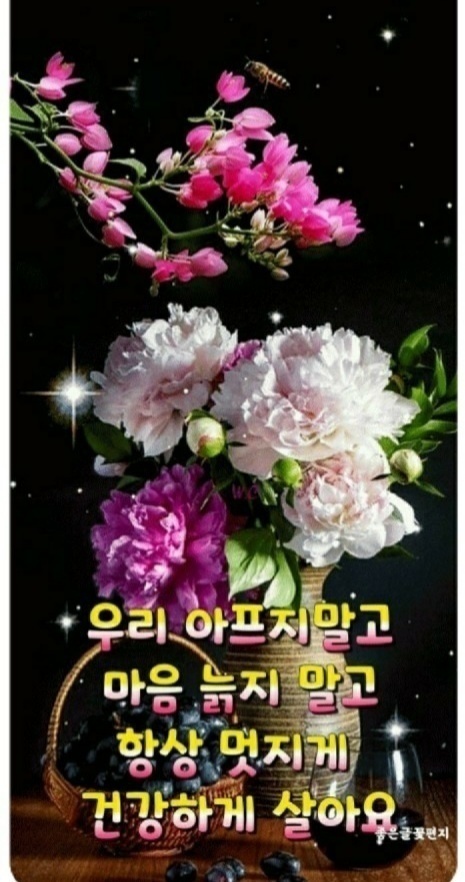행복꽃 이미지
