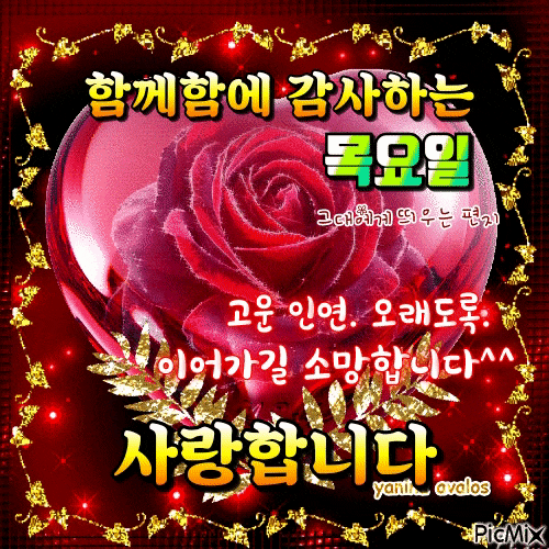 목요일 아침에! 행복을 드립니다 / 이미지(동영상) - 🔶️공유 글🔰나눔 - 💜산야와 한울타리💜 목요일 아침에! 