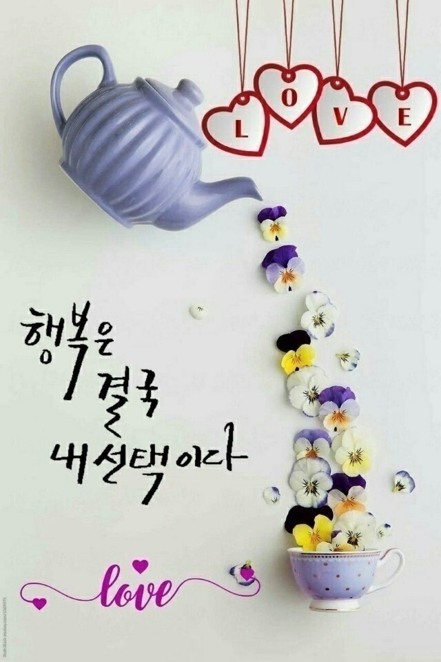 에이지즘(ageism) - ‥‥공유 ♡ 좋은글 - 향기있는 좋은글 에이지즘(ageism)