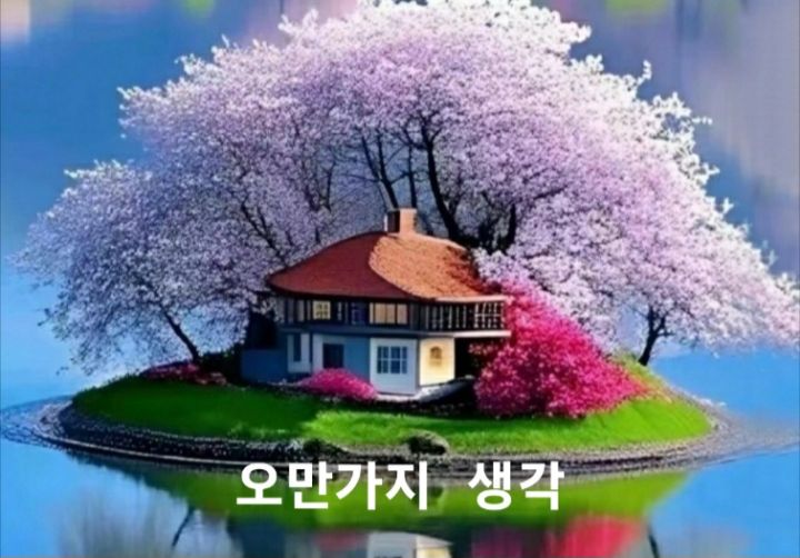 오만가지 이미지