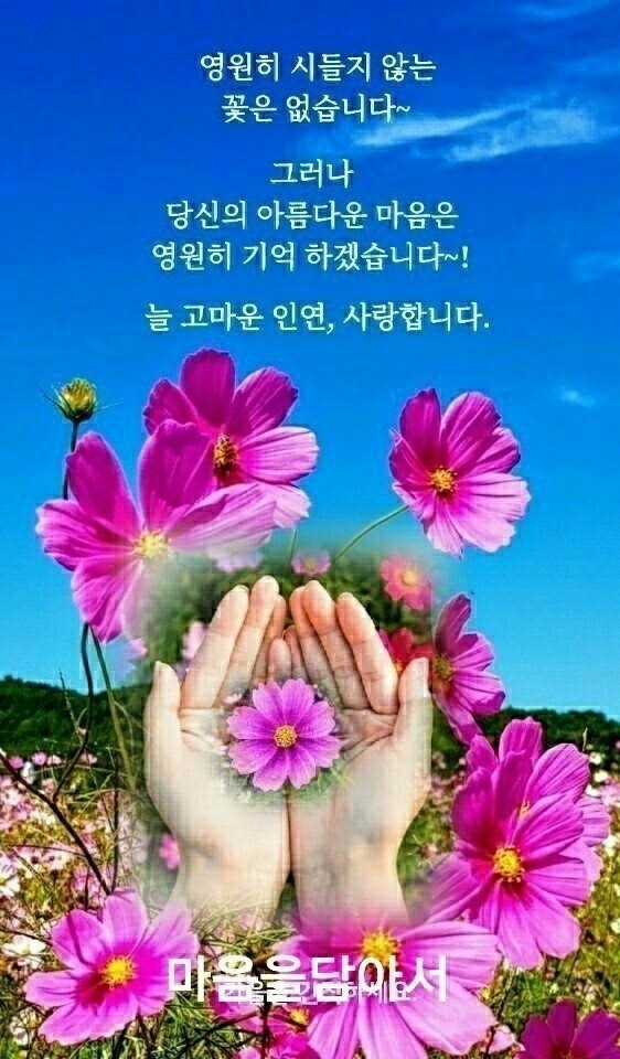 행복속에 있는 행운 - ‥‥공유 ♡ 좋은글 - 향기있는 좋은글 행복속에 있는 행운