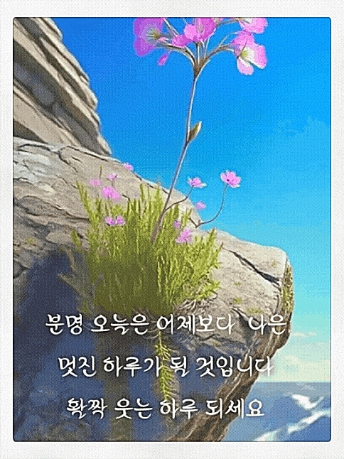 꽃향기풀내음 이미지