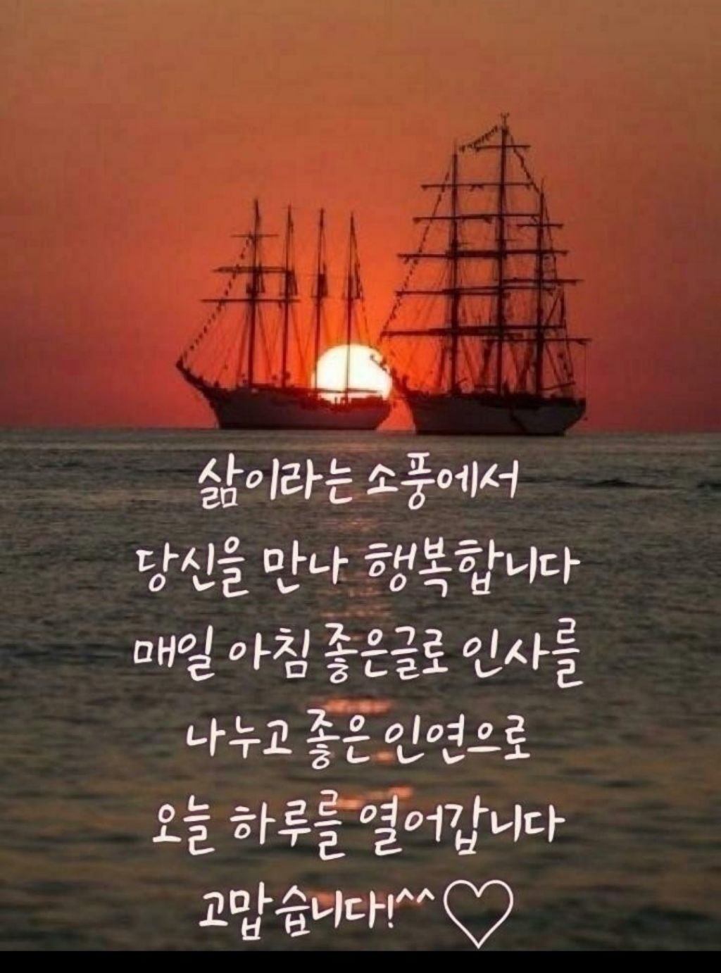 Daum 카페